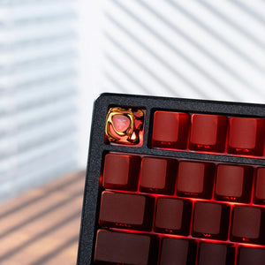 Gold Matte Translucent Keycaps OliveKeys